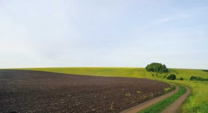 Продам пай /для сільськогосподарського призначення ТЕРМІНОВО