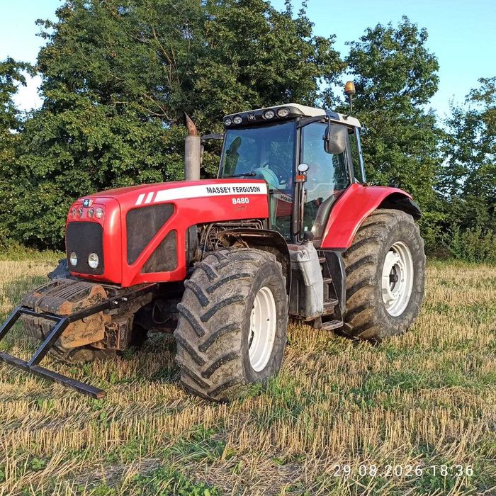 Трактор Massey Ferguson 8480