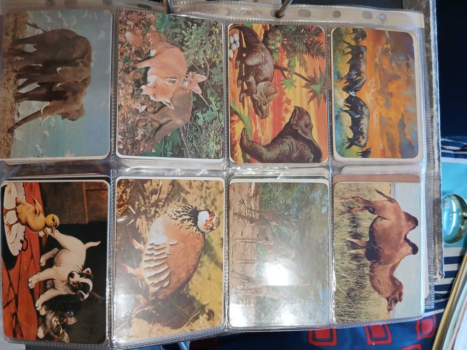 Colecção de Calendários Antigos