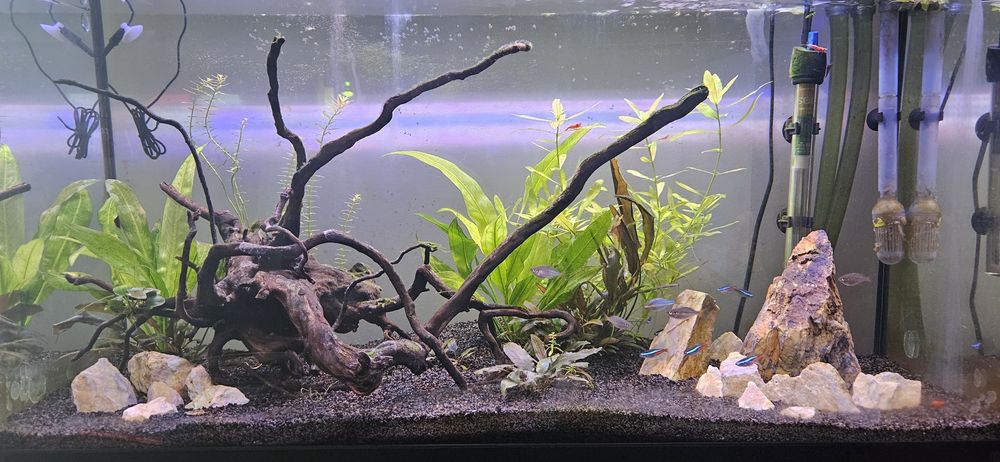 Aquário 78x28x40