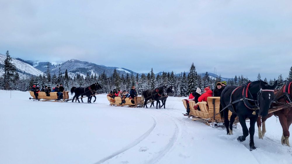 KULIGI w Zakopanem | Termy | Słowacja