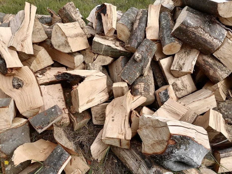 drewno drzewo kominkowe buk, dąb