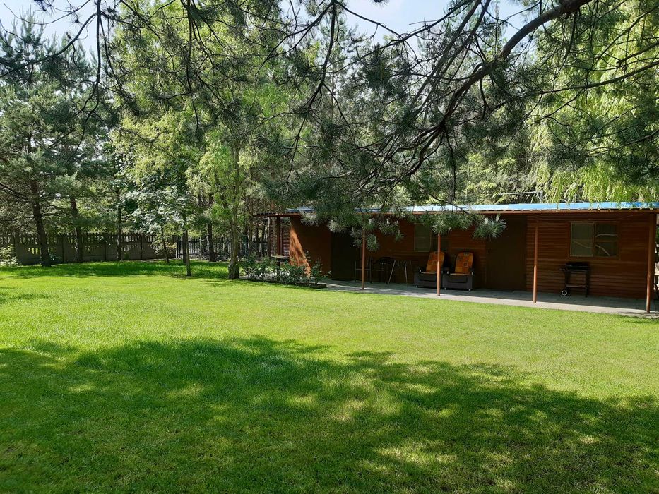 Wynajmę domek letniskowy nad jeziorem ślesińskim