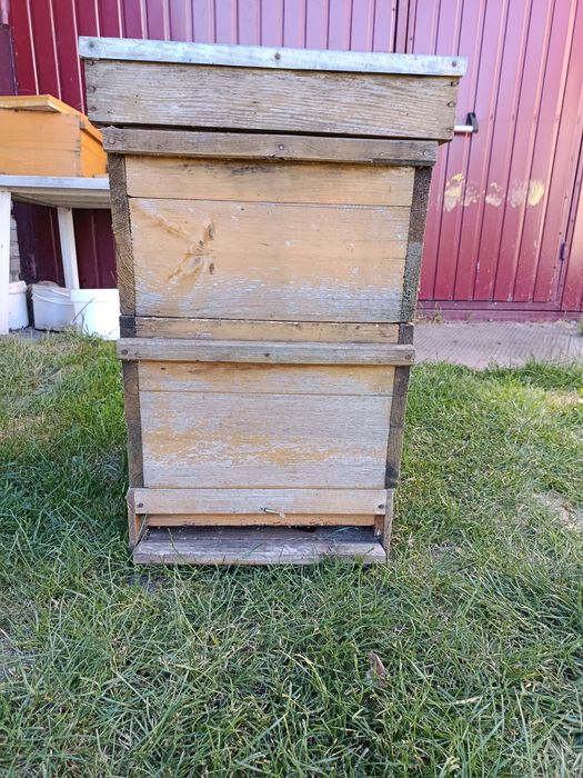 Ule wielkopolskie drewniane