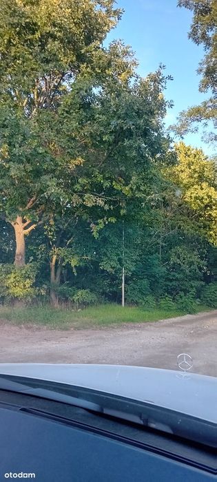 Na sprzedaż – działka budowlana nr 207/5 w Górzykowie