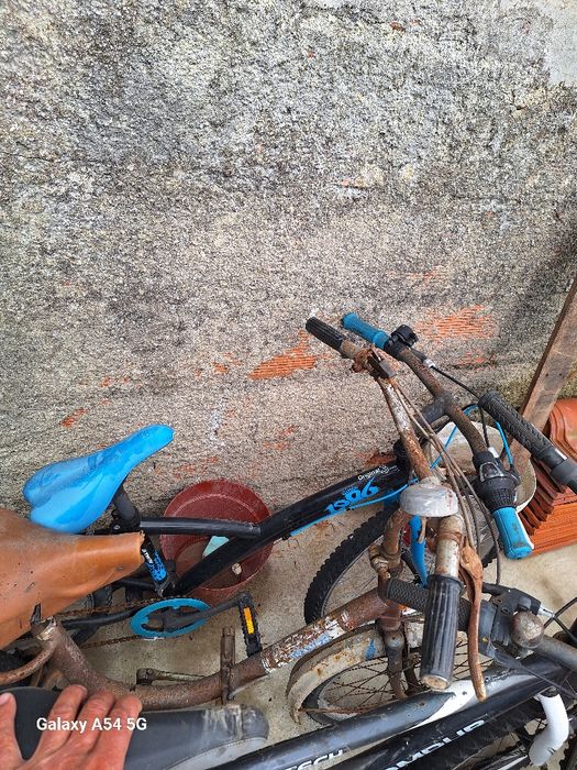 Lote de 6 bicicletas