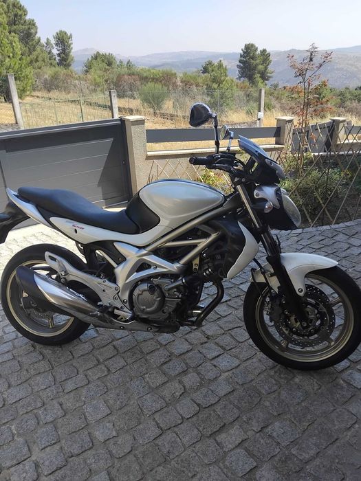 Mota Suzuki Gladius SFV