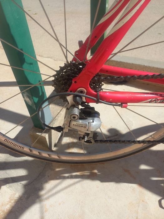 Bicicleta Berg fuego de estrada