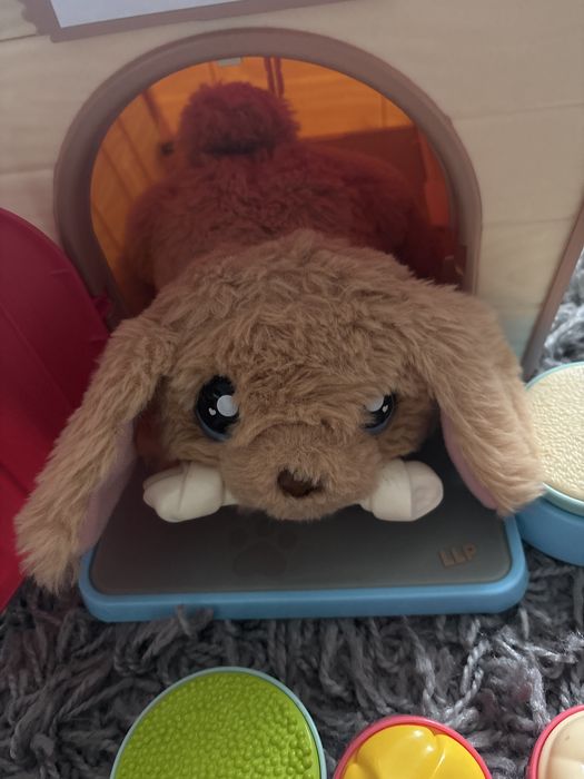 Piesek interaktywny z domkiem