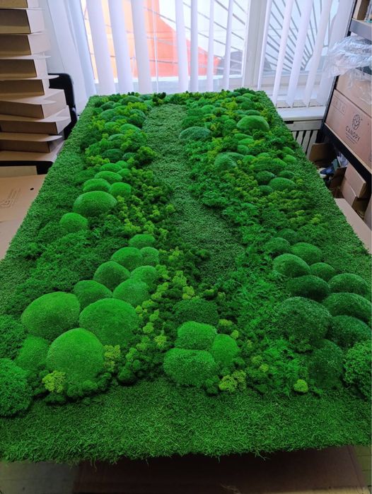 Фитопано з Моху. Панелі з Моху