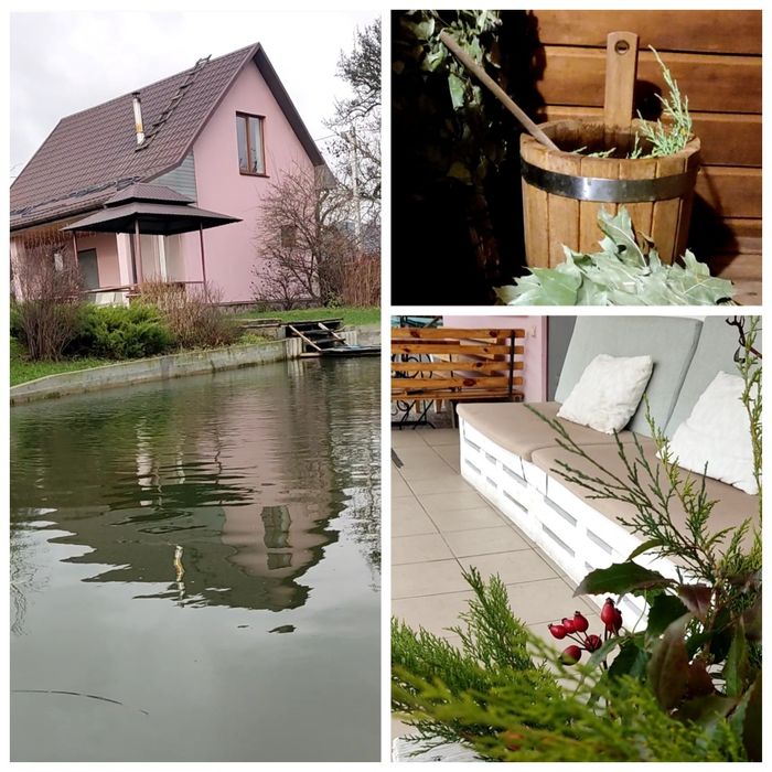 Баня біля ставка, подобова оренда будинок на свята, більярд,лазня