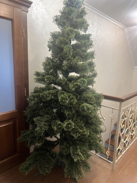 Продаж новорічної ялинки