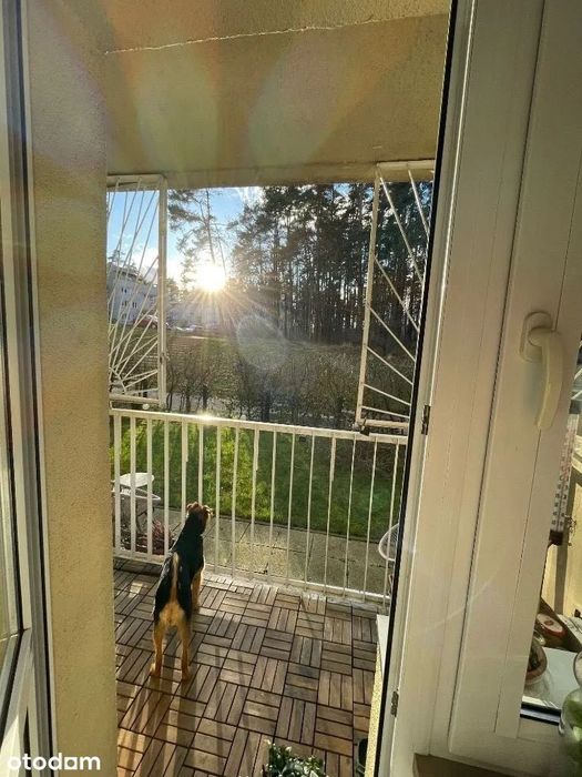 Wynajmę mieszkanie 2 pokojowe mieszkanie z ogródkiem Karwiny, Gdynia