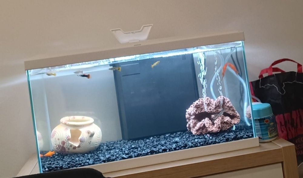 Aquário Ciano 60 litros