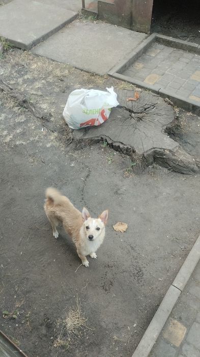 Мальчик ищет девочку