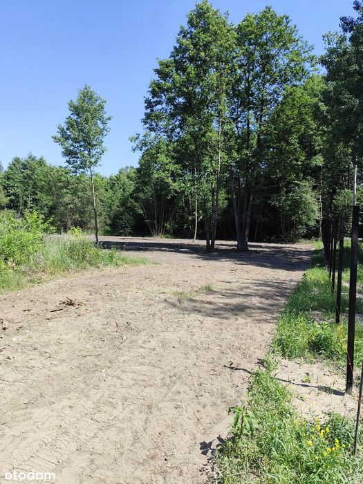 Działka budowlana 1500 m² Radonie - Widok 3