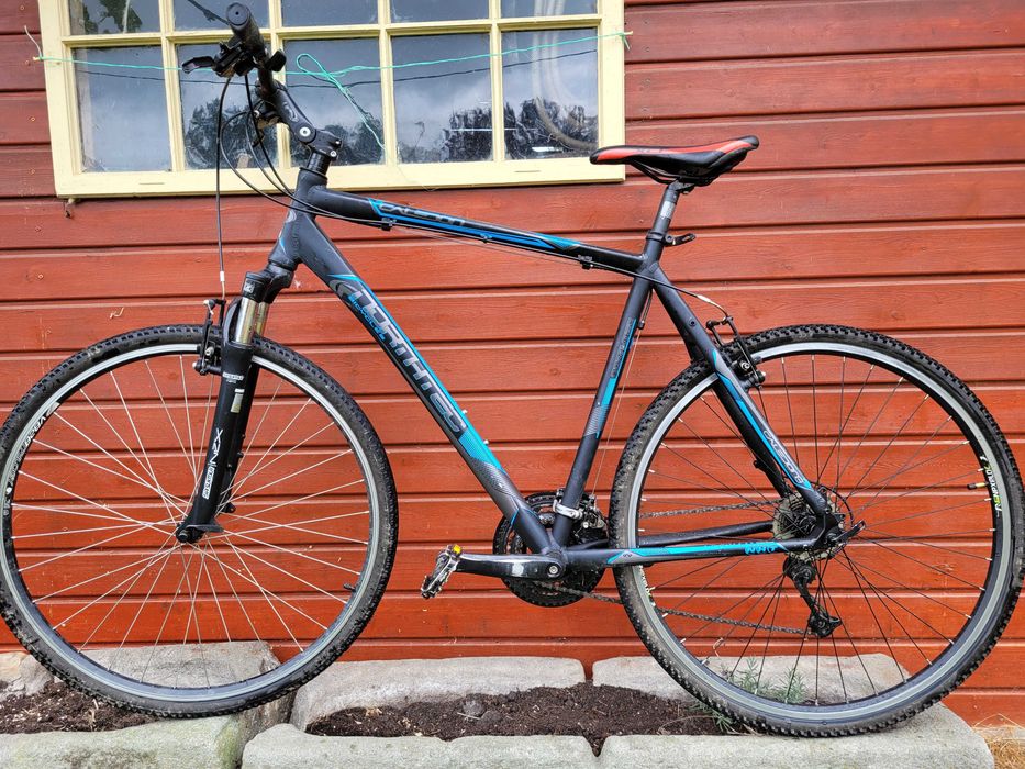 Rower crossowy górski Northtec Caledon duży koła 29", rama 23