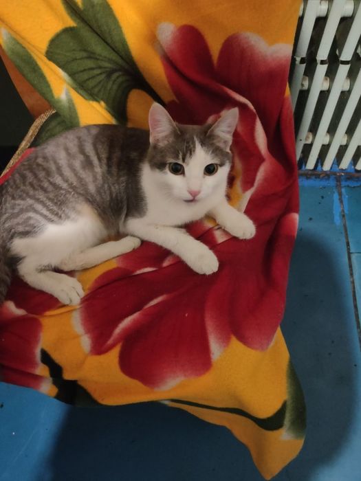 Малыш в добрые,ответственные  ручки