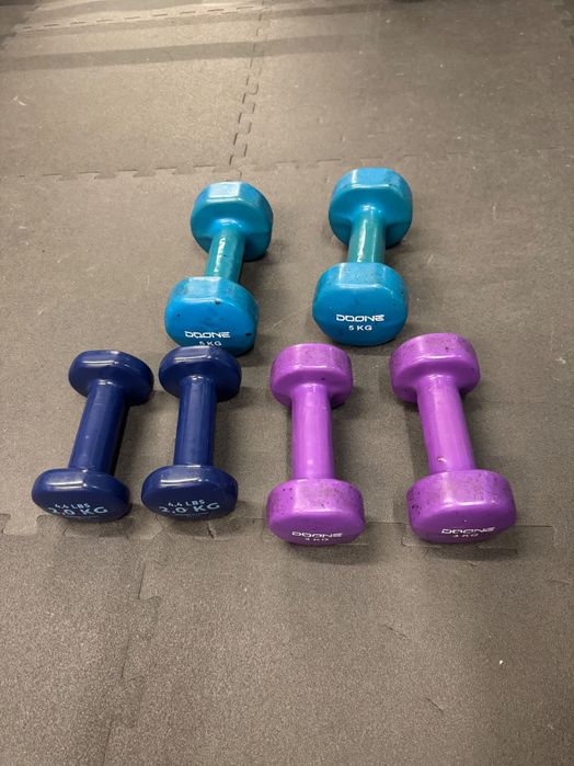 Halteres Musculação