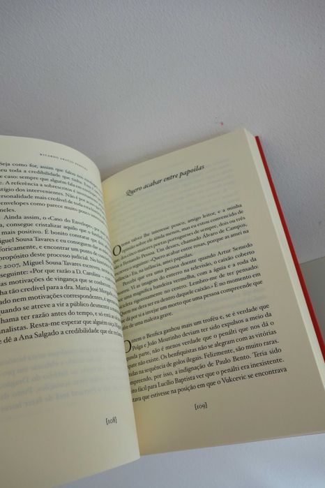 Livro A Chama Imensa de Ricardo Araújo Pereira incl. envio