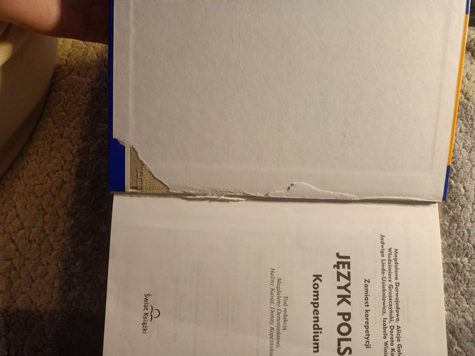 Język polski kompendium