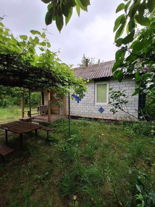 Дача біля озера серед природи