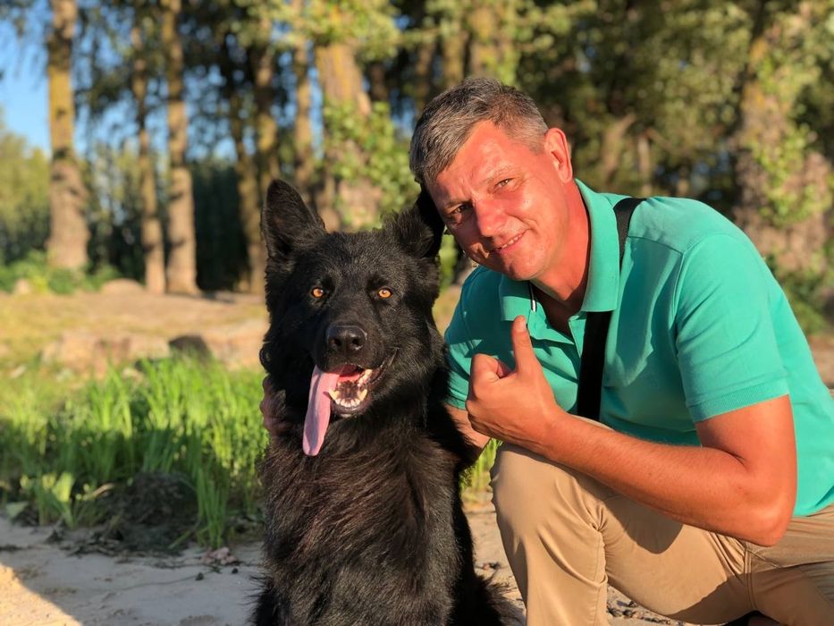 Ищем для вязки ,Кобелю 4 года