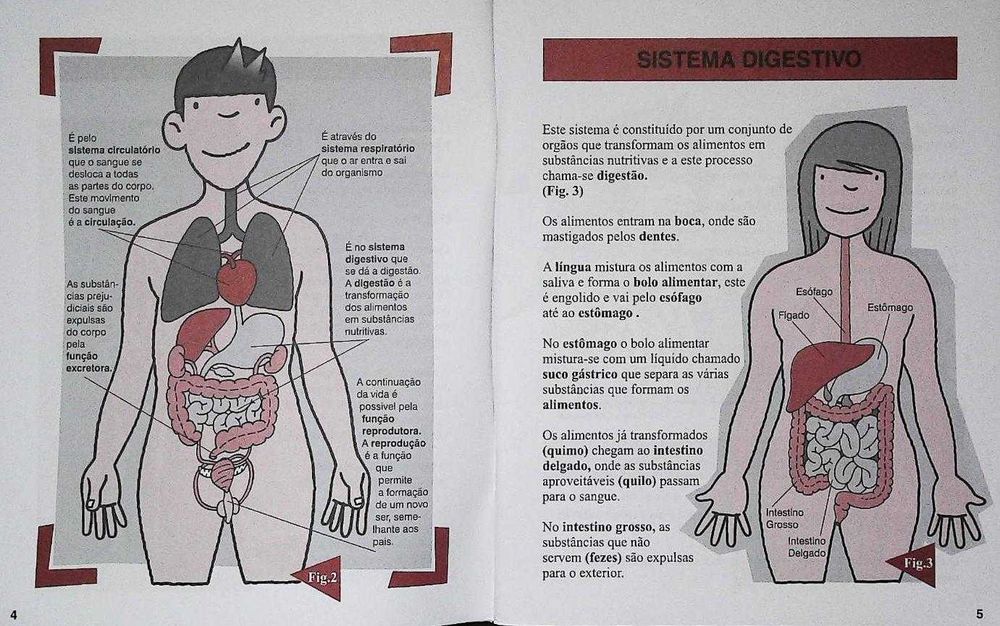 3 Manuais Ratinho