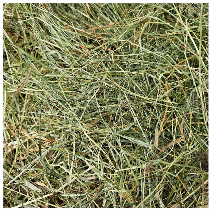 Siano łąkowe dla królika 4kg bez kurzu | świeże | króliki jedzą chętniej