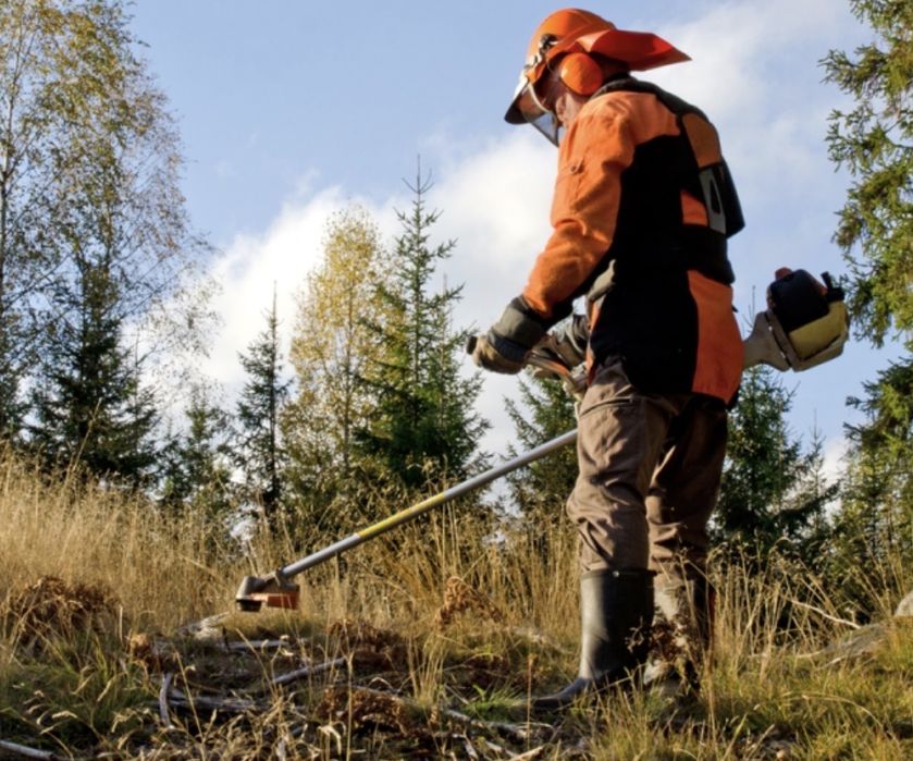 Limpeza de Terrenos e Matas