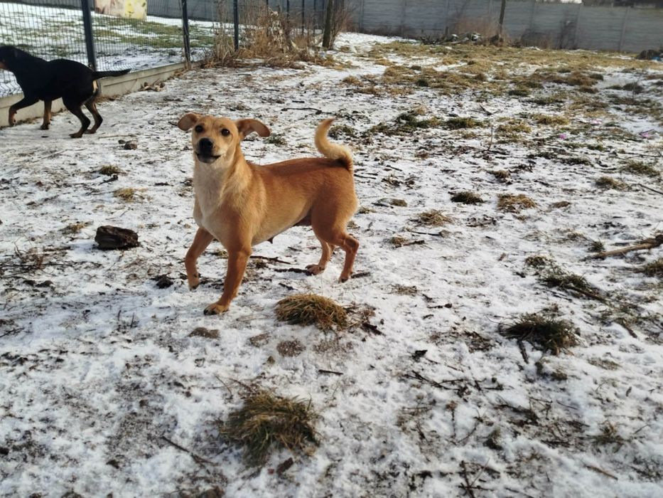 Cudowna młoda mamusia szuka domu pełnego miłości