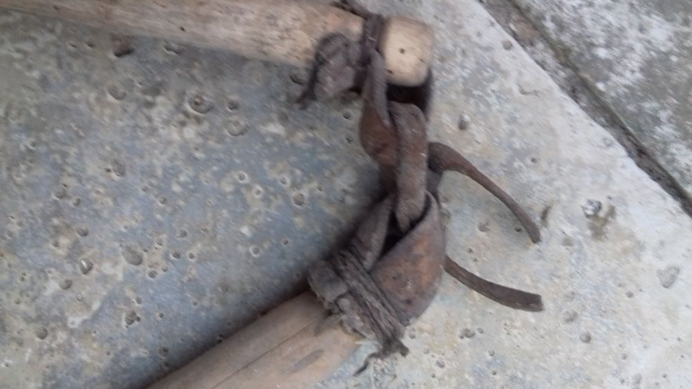 Cep zabytkowy, antyk