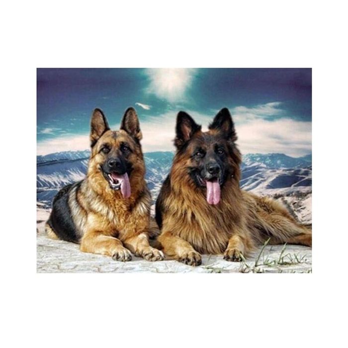 Diamond painting haft diamentowy - owczarki niemieckie (12069)