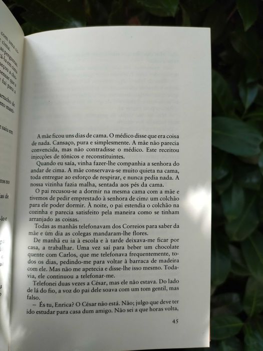 A idade ingrata (Dacia Maraini)