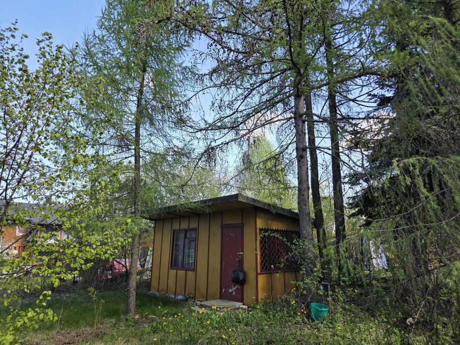 Działka ROD Warszawa, Paluch 300m2