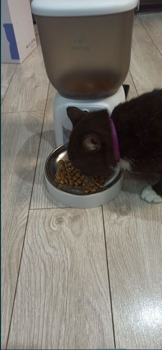 Автоматична wi-fi годівниця з камерою для кішок Imipaw 4л