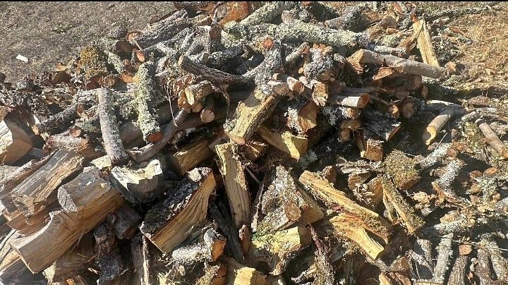 Vendo lena seca pinho e mistura