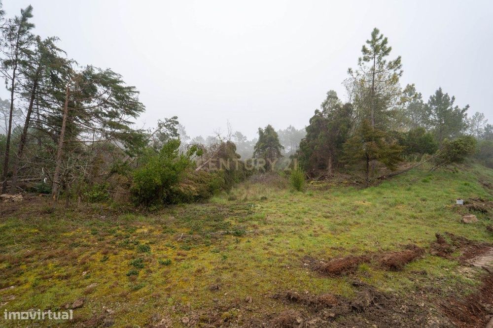 Terreno em Miranda do Corvo- Oportunidade Única por 37.000€