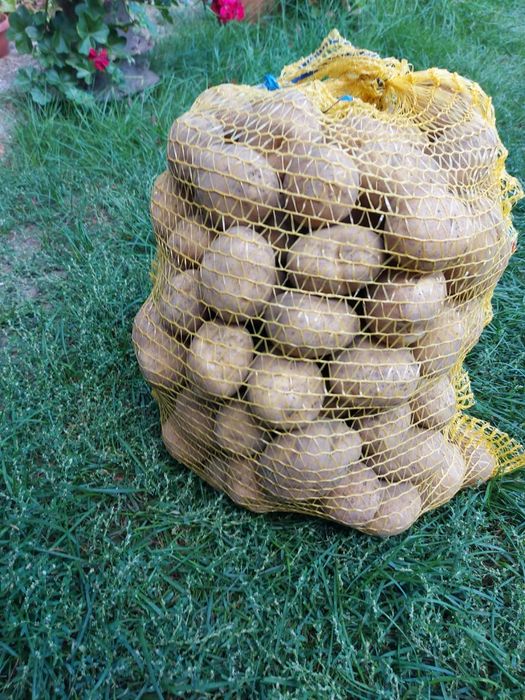 Ziemniaki jadalne 1,40/kg