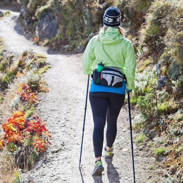 Kijki do Chodzenia Trekingowe Nordic Walking Kije Teleskopowe