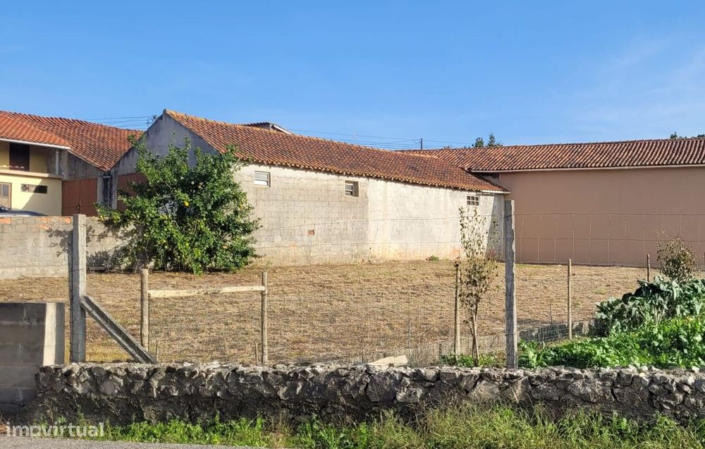 Terreno, Juncal — Juncal, Leiria