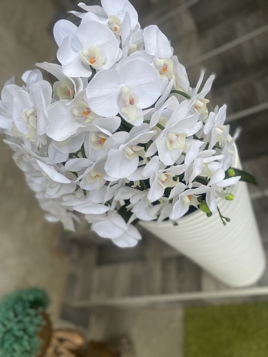 Латексні орхідеї