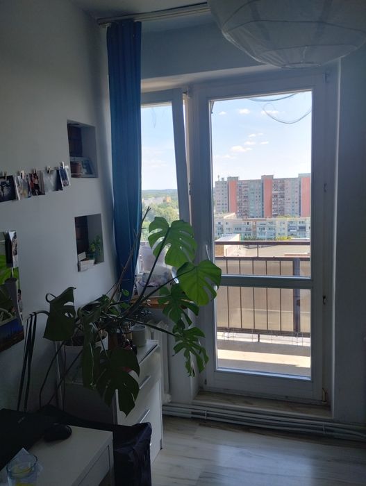 Mieszkanie dla studentów