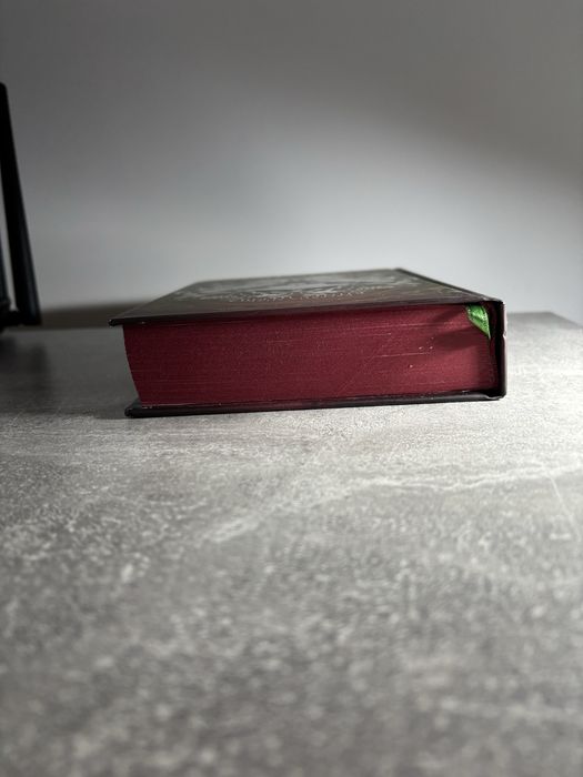 «Безсердечний мисливець» Крістен Сіккареллі