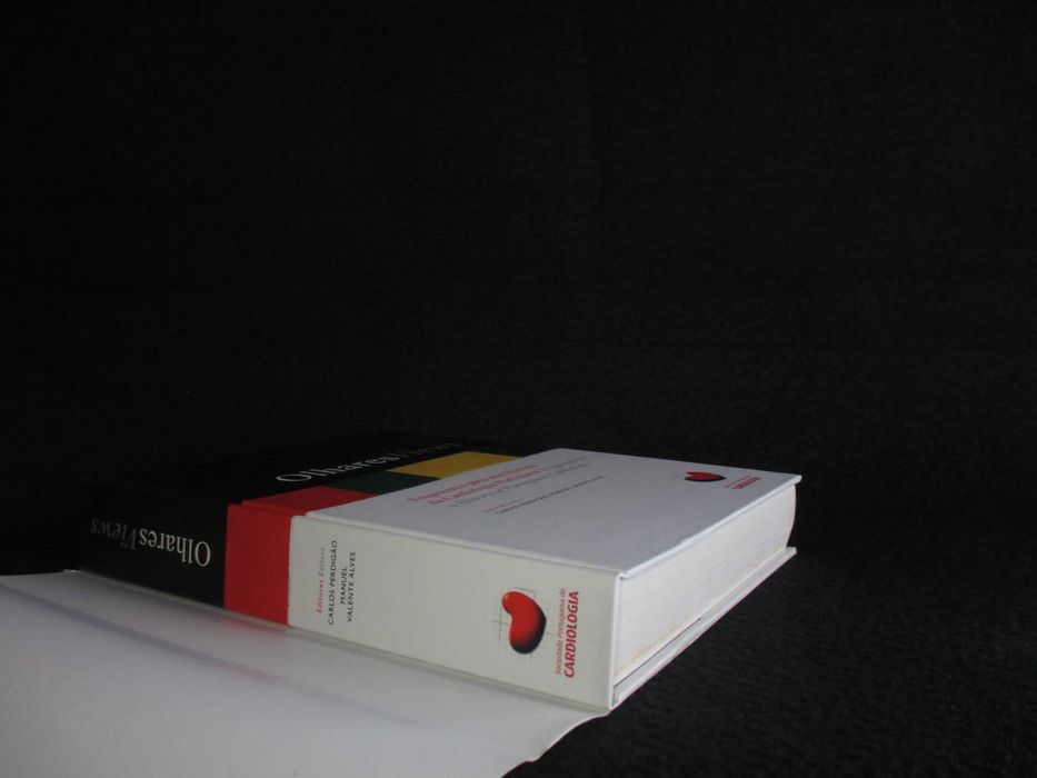 Livro Olhares Views Carlos Perdigão Manuel Valente Alves