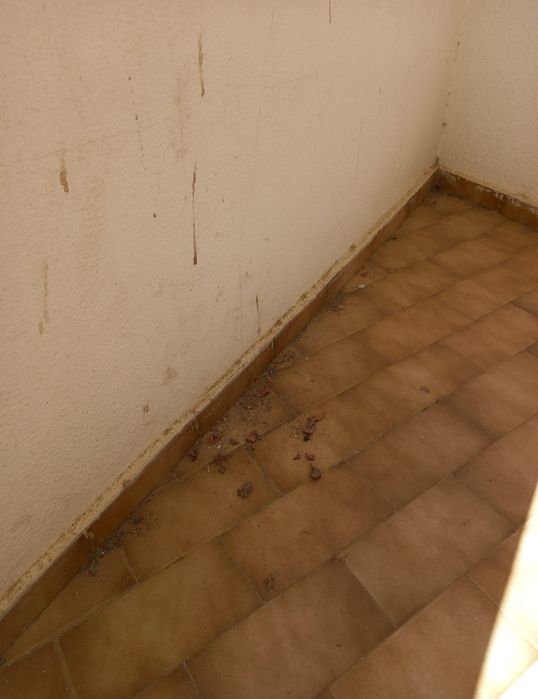 Limpezas de casas e condomínios, e transporte para a sua mercadoria