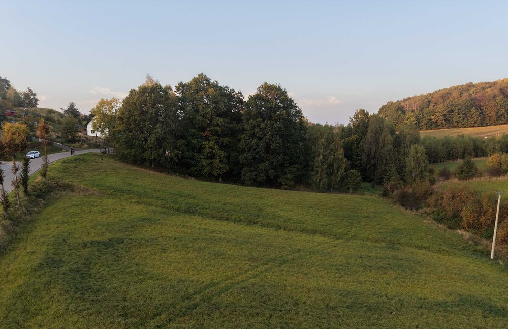Działka budowlana widokowa - 38a - Jerzmanowice - Widok 4