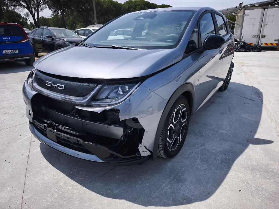 BYD dolphin 100% eléctrico
