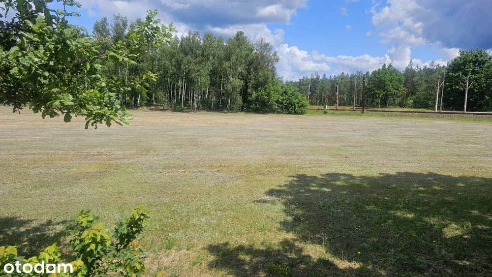Działka budowlana ze ścianą lasu