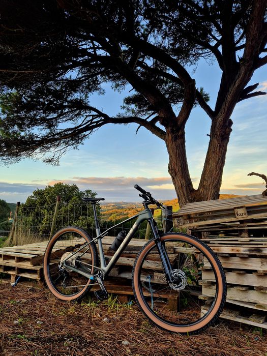 Trek Procaliber 9.5 Gen 3 2026